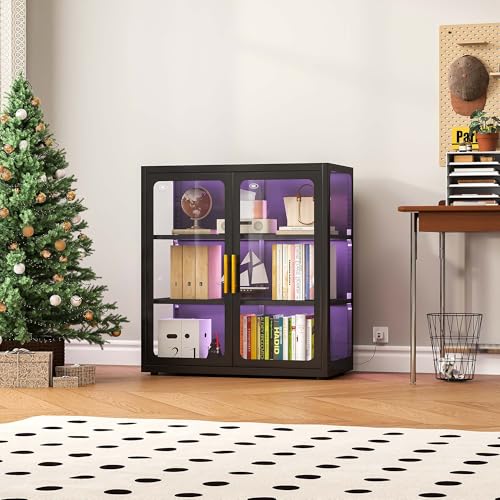 Vitrina con Puertas de Vidrio  - Glass Cabinet Display reseña y precio