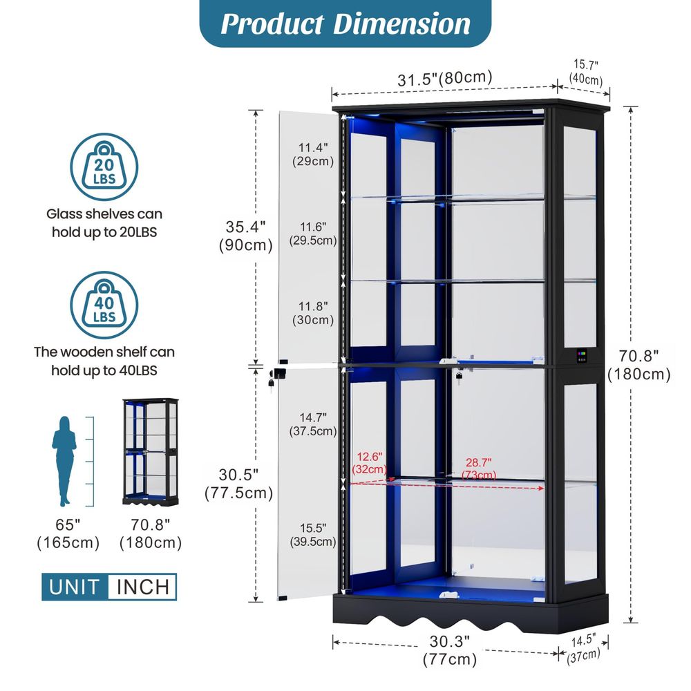 Vitrina con Puertas de Vidrio, - Glass Cabinet Display reseña y precio